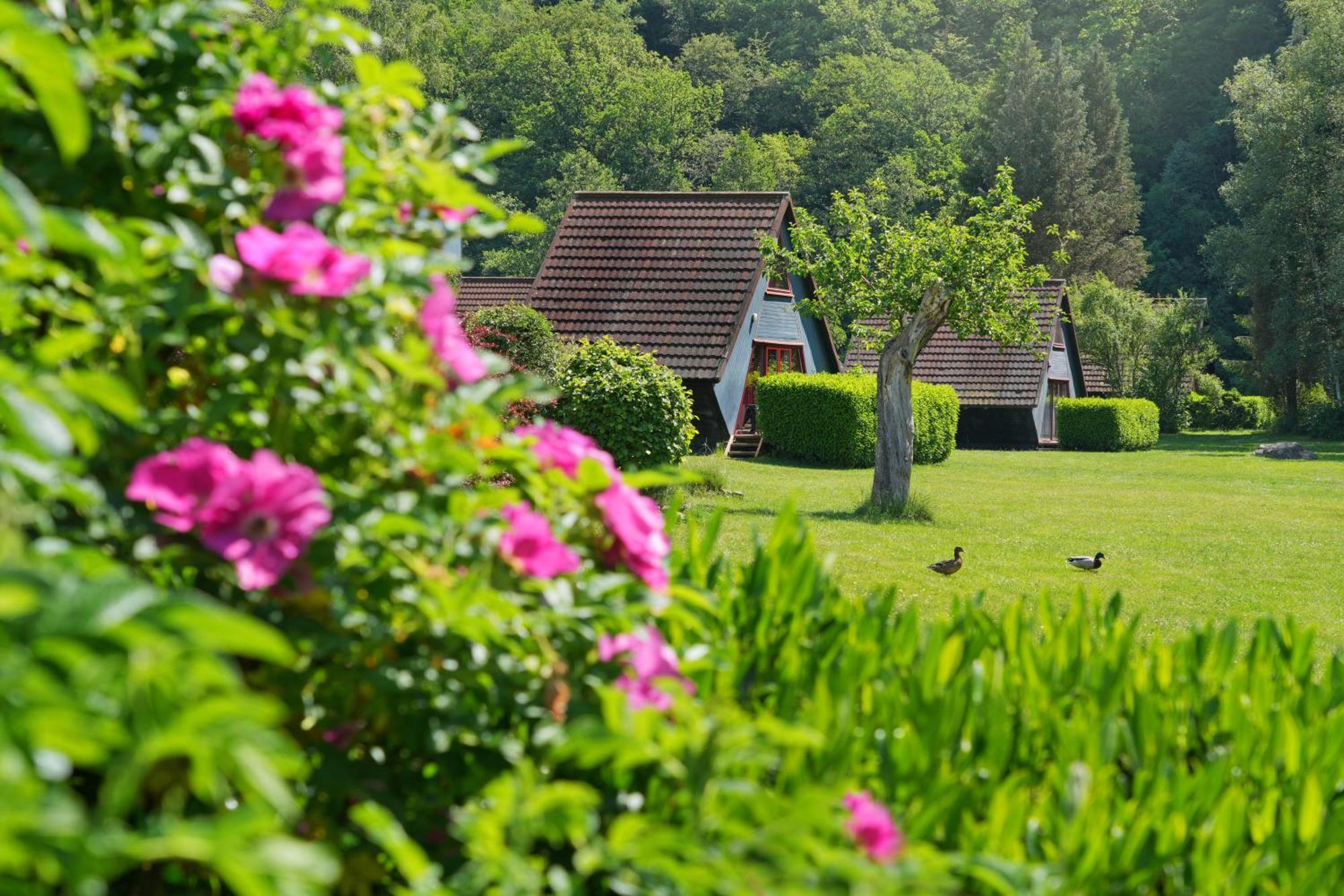 Domaine Long Pre Villa Stavelot Bagian luar foto